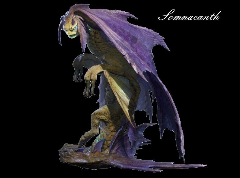 Somnacanth